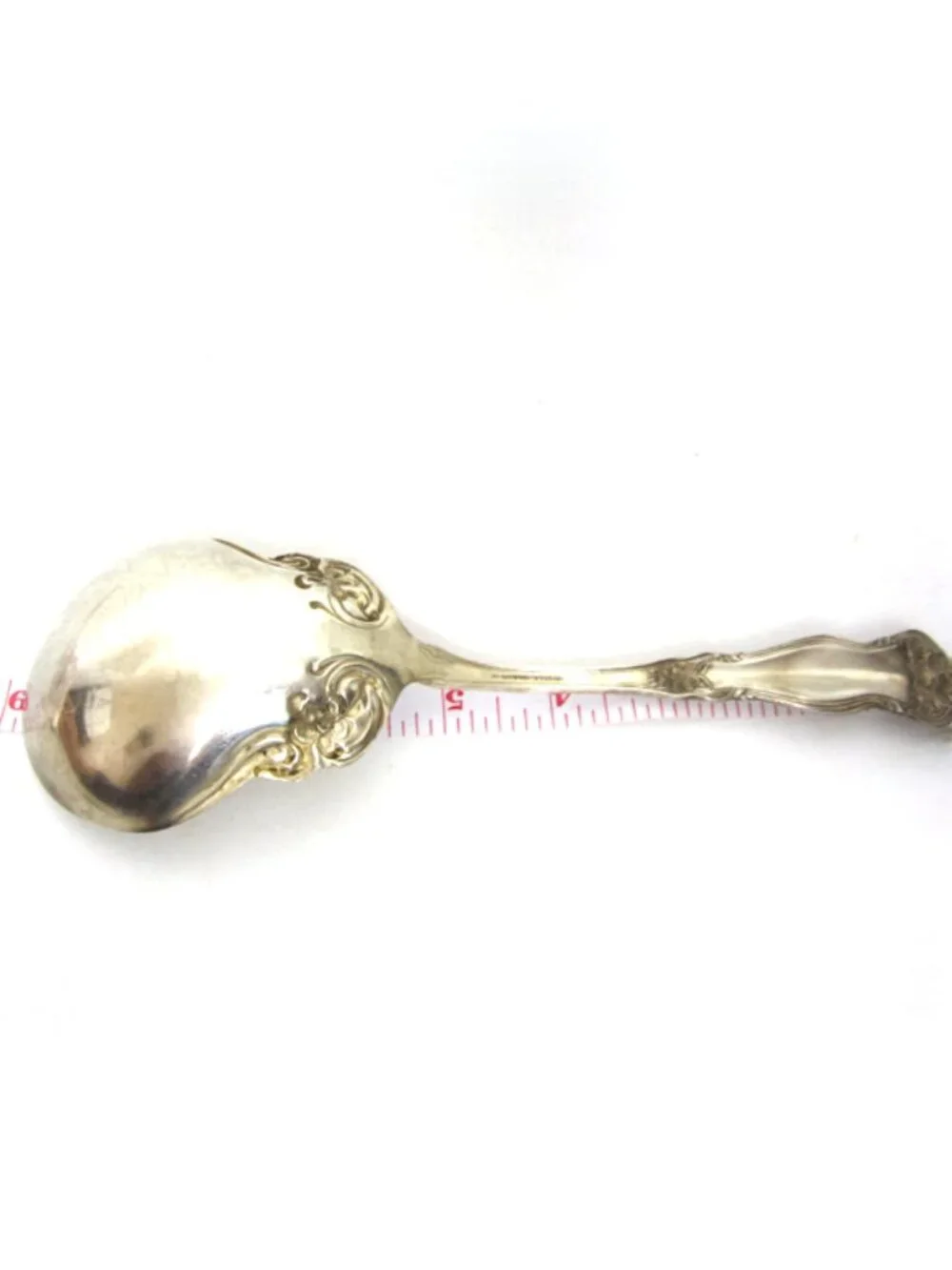 ARBUTUS International Wm Rogers & Son Silverplate 8.7